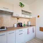 Cozy Studio Apartment